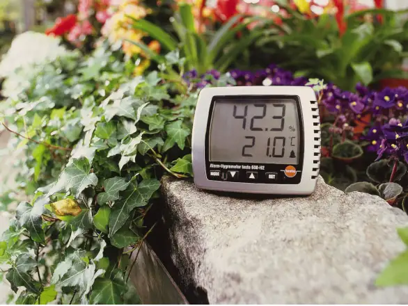 Фотография товара №2