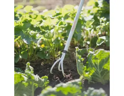 Фотография товара №2