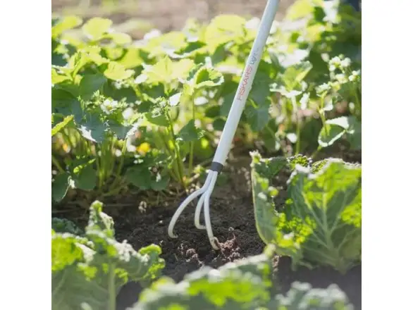 Фотография товара №2