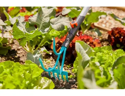 Фотография товара №2