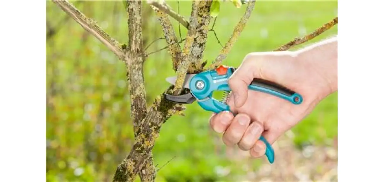 Фотография товара №2