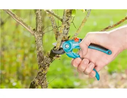 Фотография товара №2